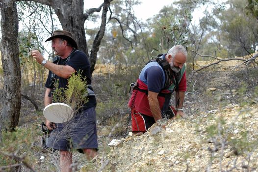 In search of gold nuggets in Australia in Victoria