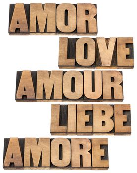 love word in 5 languages (English, Spanish, German, French and Italian) - a collage of isolated text in vintage letterpress wood type printing blocks,