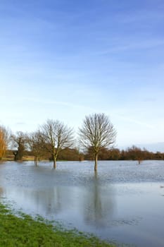 flooded field in rural essex