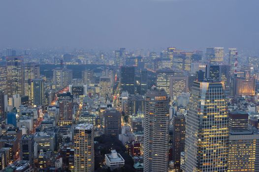 View of the sprawling metropolis of Tokyo, Japan at dusk with illuminated tall modern skyscrapers and buildings