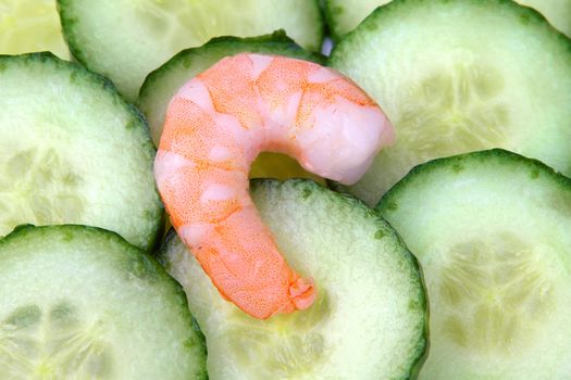 Prawns on a bed of cucumbers