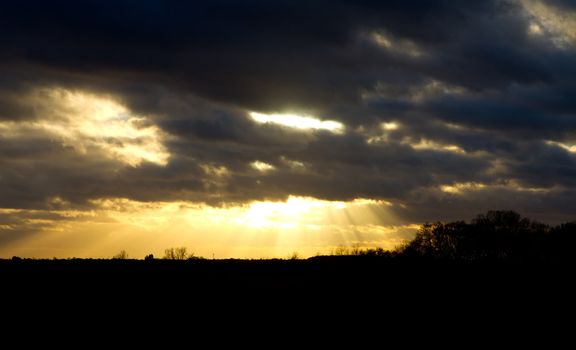 sunset over trees in an english field