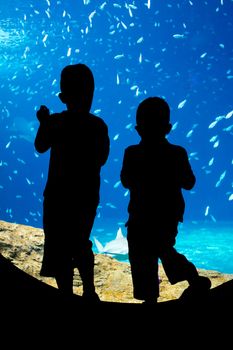 children looking through an underwater viewing window