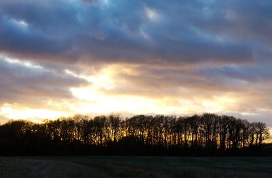 sunset over trees in an english field