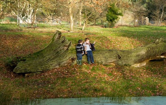 two little boys playing in the countryside