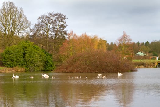 english countryside scene on a cold winters day