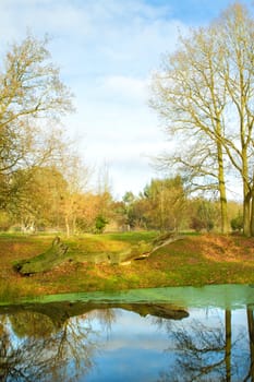 english countryside scene on a cold winters day