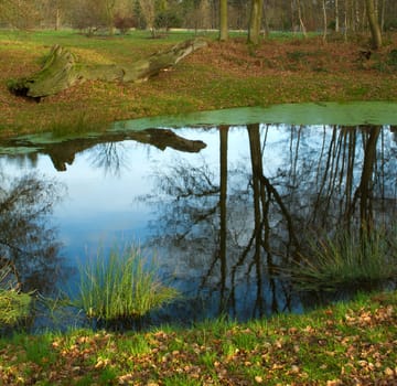 english countryside scene on a cold winters day