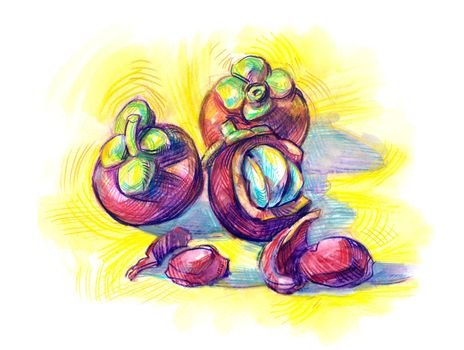 Exotic fruit Garcinia mangostana on yellow backing