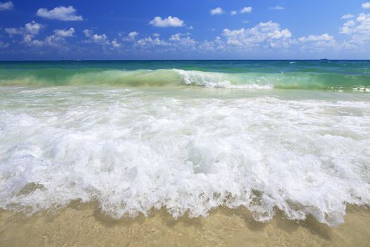 sea wave on the beach