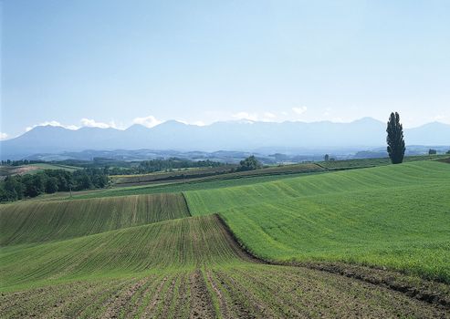 Landscape image - seasons nature