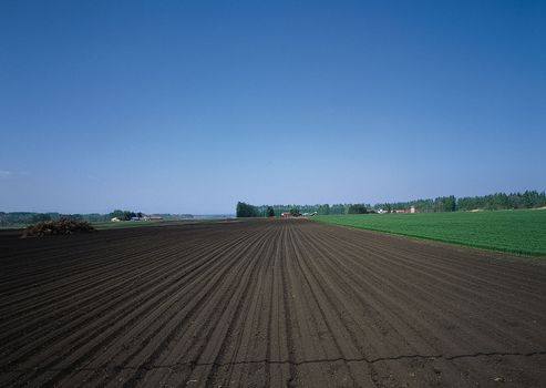 Landscape image - seasons nature