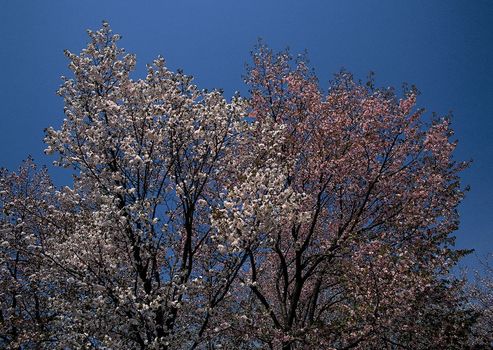 Landscape image - seasons nature