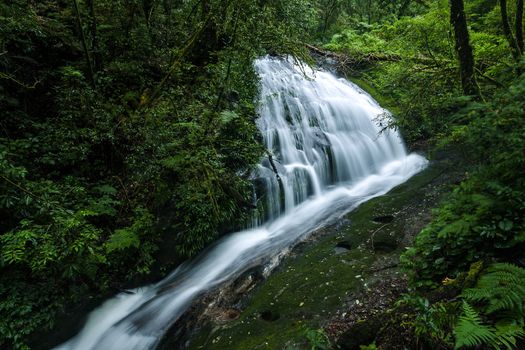 The beautiful waterfall in forest at Doi Inthanon, Chiangmai, Thailand