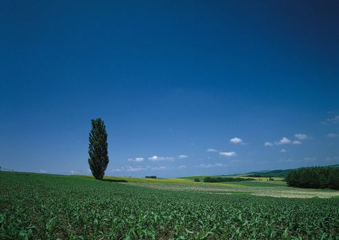 Landscape image - seasons nature