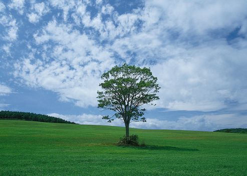 Landscape image - seasons nature