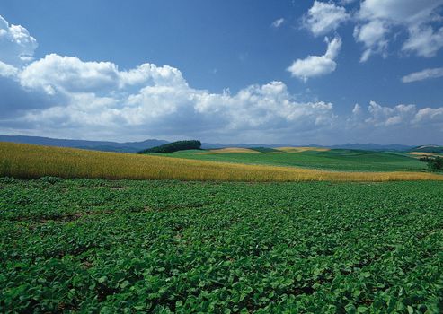 Landscape image - seasons nature