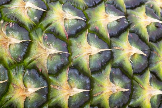 Close up texture of fresh ripe pineapple background 