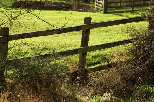 Wooden fence enclosing a meadow by a sunny winter day