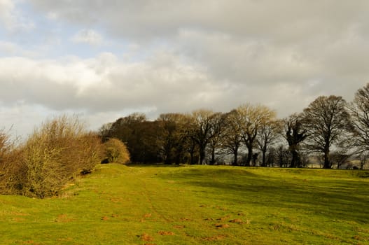 British rural landscape in winter by a sunny day