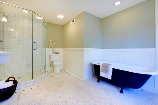 Luxury bathroom with iron tub and modern shower