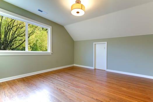 Empty new green room with nice hardwood floor