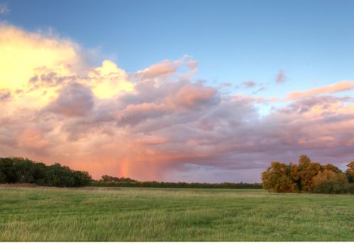 Field in Essex, UK ay sunset