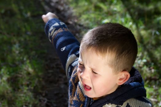 little boy crying out in the woods