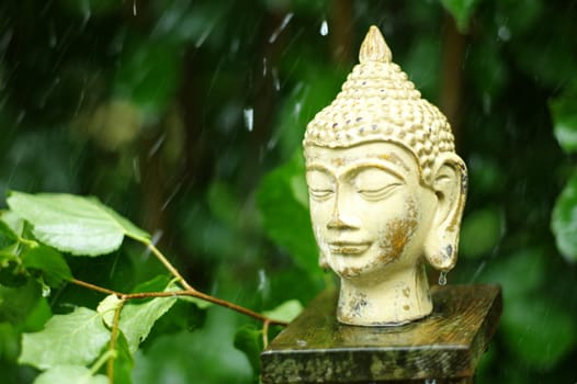 wet buddha sculpture with raindrops in background