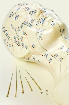 Acupuncture needles with head model