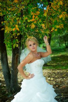 Portrait of a beautiful bride