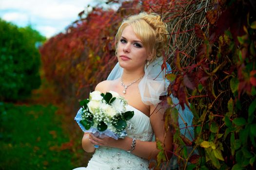 Portrait of a beautiful bride