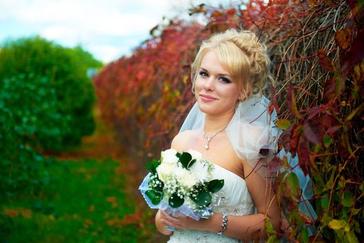 Portrait of a beautiful bride