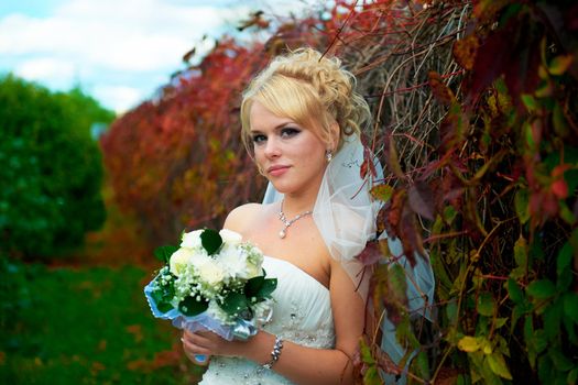 Portrait of a beautiful bride