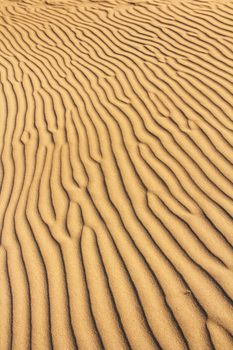 golden sand dunes with an irregular texture