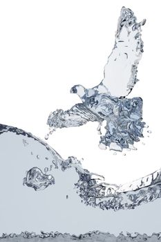 Pigeon of water made in 3D graphics