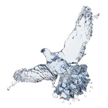 Pigeon of water made in 3D graphics