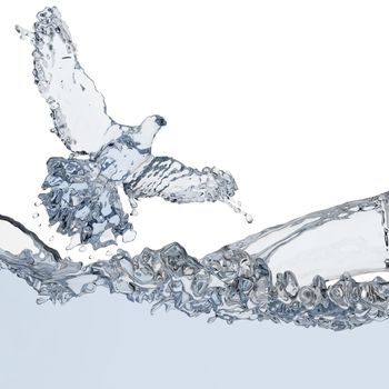 Pigeon of water made in 3D graphics