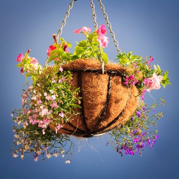 decorative basket with flowers with the blue sky background