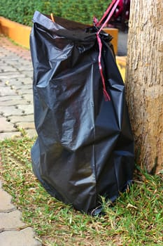 Black garbage bag tied to a tree