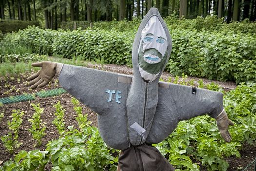 Scarecrow in English country garden at summertime.