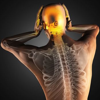 human radiography scan made in 3D
