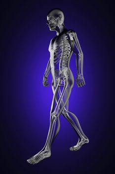 walking man radiography made in 3D