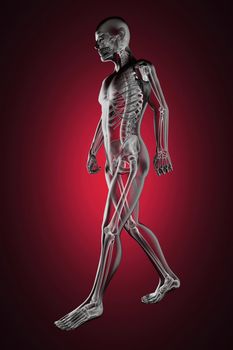 walking man radiography made in 3D