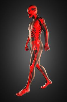 walking man radiography made in 3D