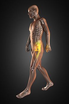 walking man radiography made in 3D