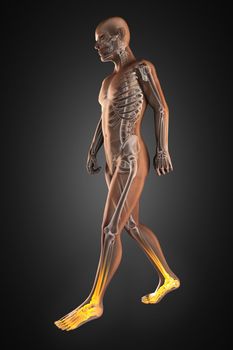 walking man radiography made in 3D