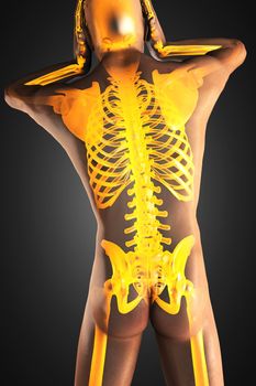 human radiography scan made in 3D