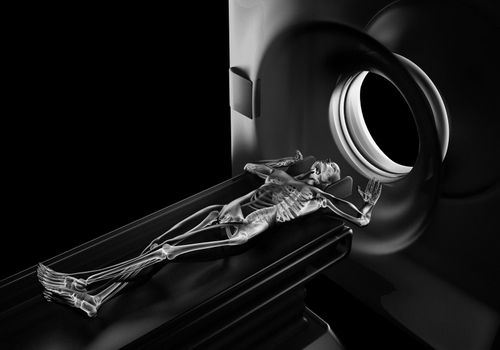 MRI examination made in 3D graphics