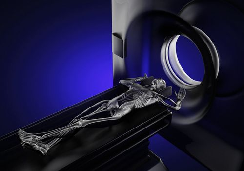 MRI examination made in 3D graphics